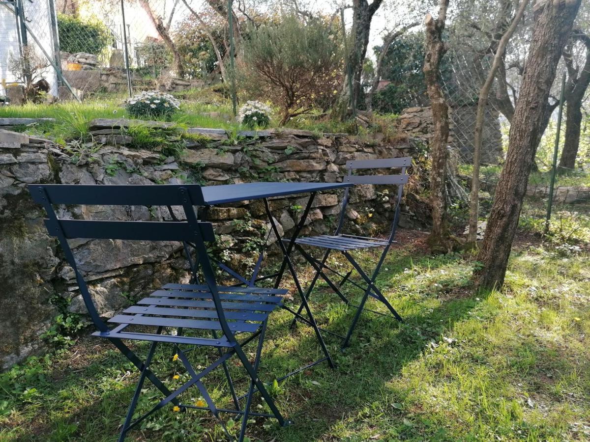 Nonna Paola Guest House Leivi エクステリア 写真